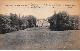 SAINT PIERRE DE TRIVISY - Domaine De Bousquet - état - Autres & Non Classés