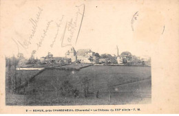 SUAUX Près CHASSENEUIL - Le Château - Très Bon état - Sonstige & Ohne Zuordnung