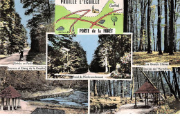 PRUILLE L'EGUILLE - Porte De La Forêt - Très Bon état - Autres & Non Classés