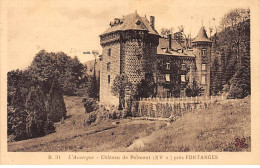 Château De PALMONT Près FONTANGES - Très Bon état - Autres & Non Classés