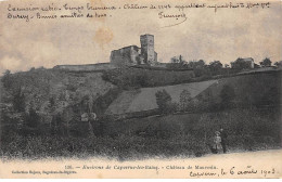 Environs De CAPVERNE LES BAINS - Château De MAUVESIN - Très Bon état - Other & Unclassified