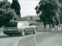 Photo Auto, BMW 5er Touring, Familienlimousine, Autokennzeichen MPL 8143 - Autres & Non Classés