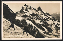 AK Engelberg, Titlis-Besteigung Mit Blick Auf Reissen Nollen Und Wendenstock  - Alpinismo