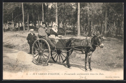 CPA Les Sables-d`Olonne, Promenade Sentimentale Dans Les Bois  - Sables D'Olonne