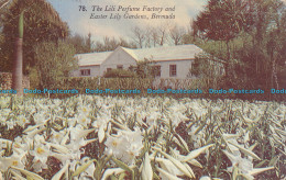 R009716 The Lili Perfume Factory And Easter Lily Gardens. Bermuda. Mardon. 1966 - Monde