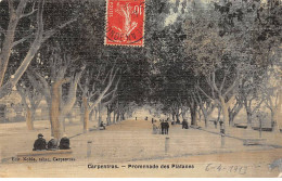 CARPENTRAS - Promenade Des Platanes - Très Bon état - Carpentras