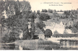 CHAUVIGNY - Vue Panoramique Du Moulin Des Dames - Très Bon état - Chauvigny