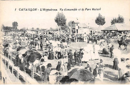 CAVAILLON - L'Hippodrome - Vue D'ensemble Et Le Pari Mutuel - Très Bon état - Cavaillon