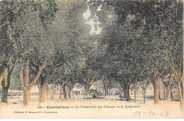 CARPENTRAS - La Promenade Des Platanes Et Le Quinconce - Très Bon état - Carpentras