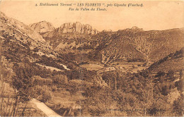 Etablissement Thermal " Les Florets " Près GIGONDAS - Vue Du Vallon Des Florets - état - Andere & Zonder Classificatie