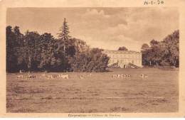 CARPENTRAS - Château Du Martinet - Très Bon état - Carpentras