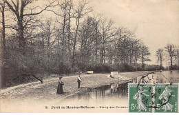 Forêt De MEUDON BELLEVUE - Etang Des Fonceaux - Très Bon état - Meudon