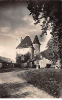 ROM - Le Château De La Rigaudière - Très Bon état - Other & Unclassified