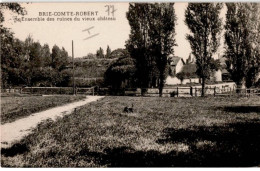 BRIE-COMTE-ROBERT: Ensemble Des Ruines Du Vieux Château - Très Bon état - Brie Comte Robert