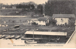 RIS ORANGIS - Panorama De Champrosay Et Le Sanatorium - Très Bon état - Ris Orangis