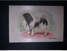BEST DOGS OF THEIR BREED - Cigarettes 8 X 5.5 CM - Soie - Japanese - 2 Scans - Otros & Sin Clasificación