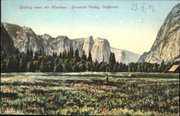 11109398 Yosemite Valley Meadows United States - Autres & Non Classés
