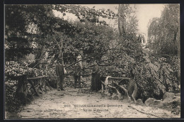 CPA Sedan, Le Jardin Botanique Aprés Le Cyclone  - Sedan