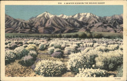 11109350 Beverly_Hills_California Mojave Desert
Winter Scene - Other & Unclassified