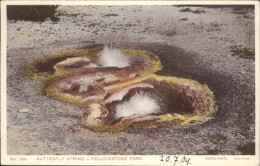 11109300 Yellowstone_National_Park Butterfly Spring - Otros & Sin Clasificación