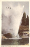 11109295 Yellowstone_National_Park Geysir Riverside - Autres & Non Classés