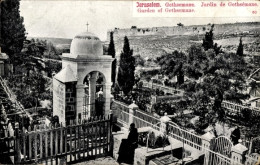 CPA Jerusalem Israel, Gethsemane, Gartenanlagen - Israël