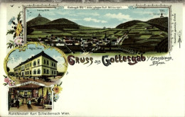 Lithographie Boží Dar Gottesgab Erzgebirge Region Karlsbad, Hotel Wien, Totale - Tchéquie