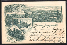 Lithographie Saargemünd, Château Et L'Église, Saar-Kanal, Ruine Frauenberg  - Autres & Non Classés