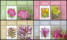 2022, Romania, Endemic Plants In Carpathian Mountains, Flowers, Plants (Flora), 4 Stamps+Label M1, MNH(**), LPMP 2382 - Neufs