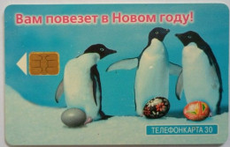 Russia JSC Moscow 30 Units- You Will Be Lucky In The New Year - Russland