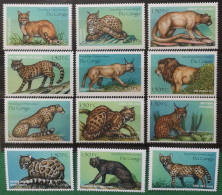 Kongo Congo 2000 Katzenartige Mi 1438/49** - Mint/hinged