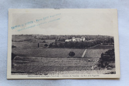 Châteauneuf Du Pape, Château De Vaudieu, Le Parc Et Le Vignoble, Vaucluse 84 - Chateauneuf Du Pape