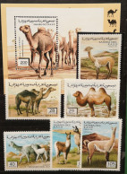 Sahara Occidental R.S.A.D. 1996 Kamelartige 6v** + Block Dromedar** - Autres - Afrique