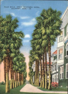 11066439 Gulfport Palm Walk Great Southern Hotel - Altri & Non Classificati