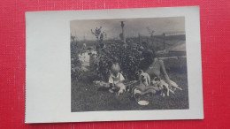 2 Postcards.Sredisce Ob Dravi.Marica Jurko.Little(baby) Dogs - Eslovenia