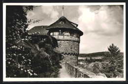 AK Hofgeismar, Hotel-Pension Burg Trendelburg, An Der Mauer  - Hofgeismar