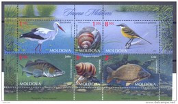 2014. Moldova, Fauna Of Moldova, Birds, Snails,fishes, S/s, Mint** - Moldawien (Moldau)