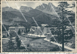 Bm265 Cartolina S.martino Di Castrozza Cima Colbricon Provincia Di Trento - Trento