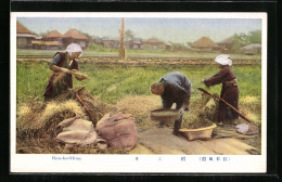 AK Rice Hackling, Asiatische Arbeiter Bei Der Reisernte  - Culture