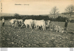 CHAROLLES LABOURAGE AGRICULTURE - Charolles