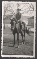 HORSE PFERD CHEVAL, REAL OLD  PHOTO PC, Year 1930s - Chevaux