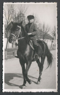 HORSE PFERD CHEVAL, REAL OLD  PHOTO PC, Year 1930s - Caballos