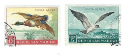 San Marino 1959 ; Anatra E Gabbiano, Bird: Duck And Seagull; Posta Aerea, Used. - Gaviotas
