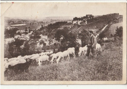 ARQUES LA BATAILLE  Vue Prise De La Côte De Gruchet ( Berger Et Troupeau De Moutons ) - Arques-la-Bataille