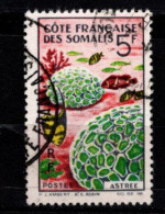 - COTE DES SOMALIES - 1963 - YT N°314 - Oblitéré - Faune Coralienne - Oblitérés