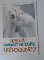 D203153  CPM Polar Bear - Ours - Désolé -Comment Ne Faire Pardonner?  74 Annecy - 18h - 14-3 -1992  Dick De Rijk Pr. - Bears