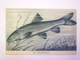2024 - 1863  POISSON  :  LE BARBEAU   XXX - Fish & Shellfish