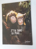 D203157  CPM  HUMOUR Des SINGES - Mots Pour Rire -   Chimpanzee 1992 - Monkeys