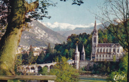 65, Lourdes, La Basilique - Lourdes