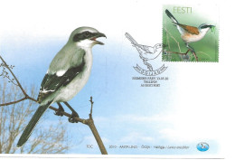 Estonia Eesti Estland 2010 Bird Of The Year. Red-backed Shrike (Lanius Collurio) Mi 666  FDC - Estonie
